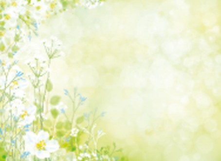 Bild på Vector spring floral background