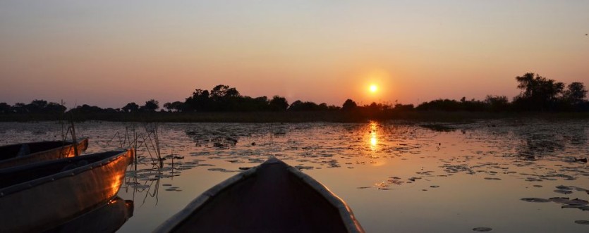 Bild på Okavango Delta
