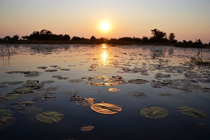 Afbeeldingen van Okavango Delta