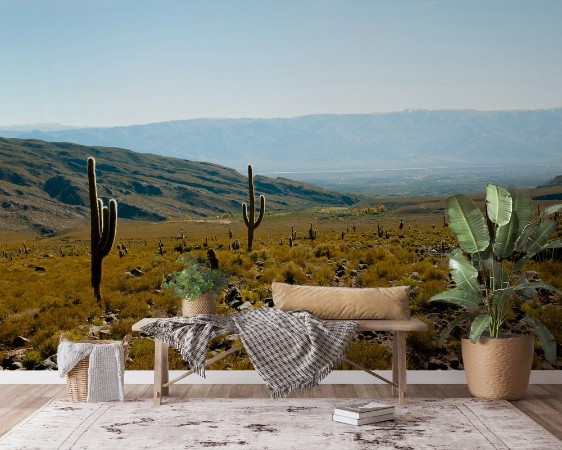 Picture of Cardon Cactus - Argentina