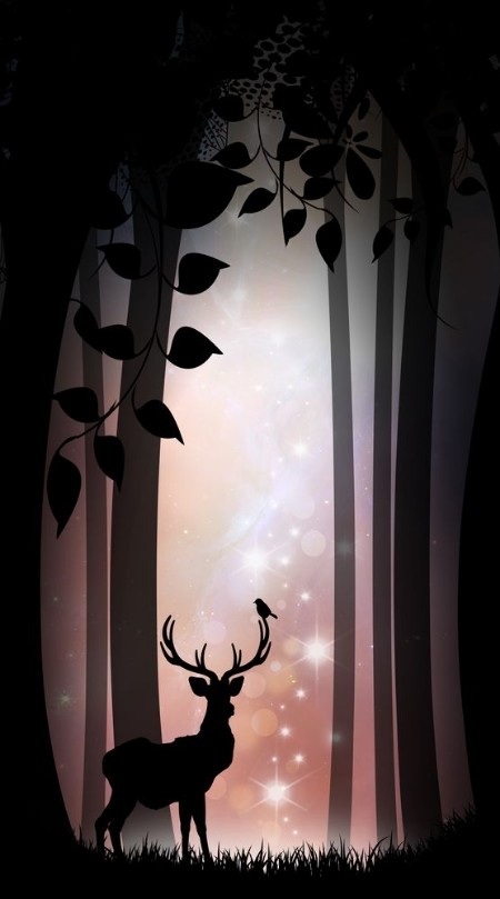Picture of King of the forest silhouette art photo manipulation