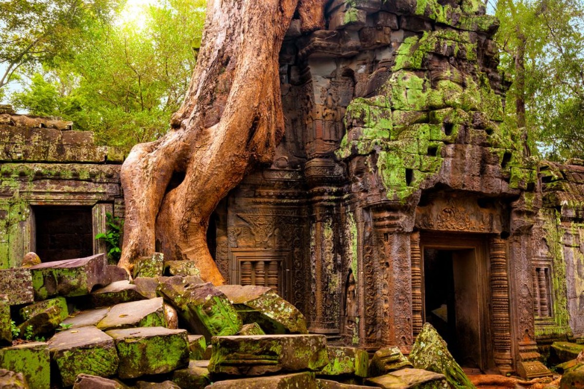 Afbeeldingen van Ta Prohm temple Ancient Khmer architecture under the giant roots of a tree at Angkor Wat complex Siem Reap Cambodia