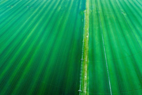 Afbeeldingen van Irrigation system in wheat field