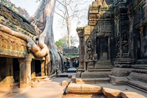 Afbeeldingen van Ta Prohm Temple Siem Reap Cambodia