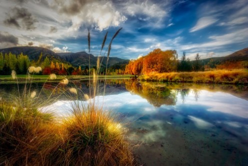 Picture of A beautiful pond in Rural New Zealand during Autumn