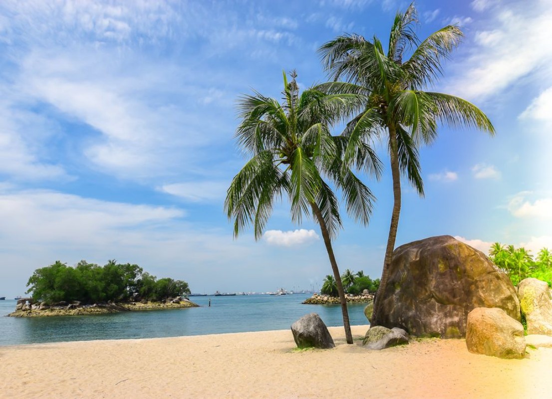 Bild på Singapore travel - Beach with palm tree in Sentosa island