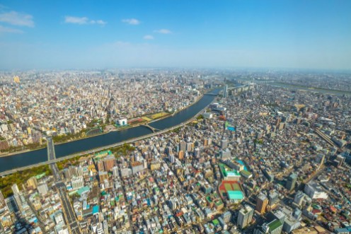 Bild på Tokyo From Above