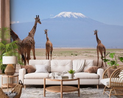 Afbeeldingen van Giraffe con Kilimangiaro