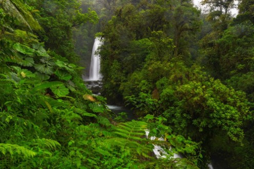 Picture of La Paz Waterfall Costa Rica