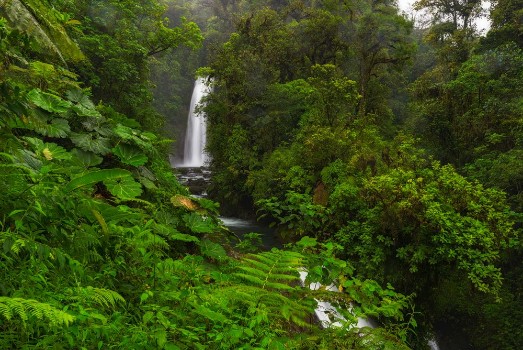 Bild på La Paz Waterfall Costa Rica