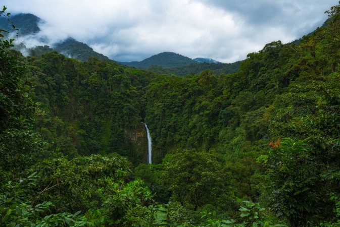 Afbeeldingen van La Fortuna Waterfall Costa Rica