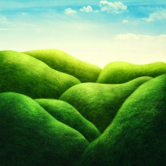 Image de Landscape with green field