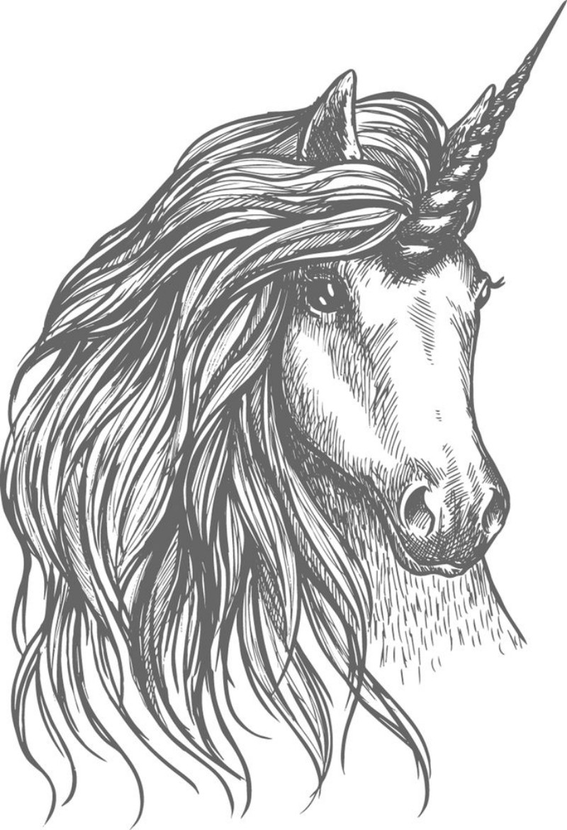 Picture of Unicorn fantastic horse sketch for tattoo design