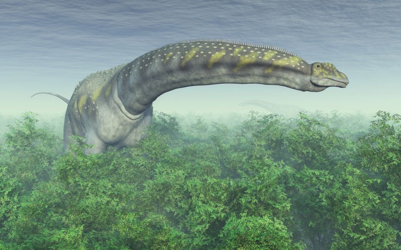 Bild på Dinosaur Argentinosaurus