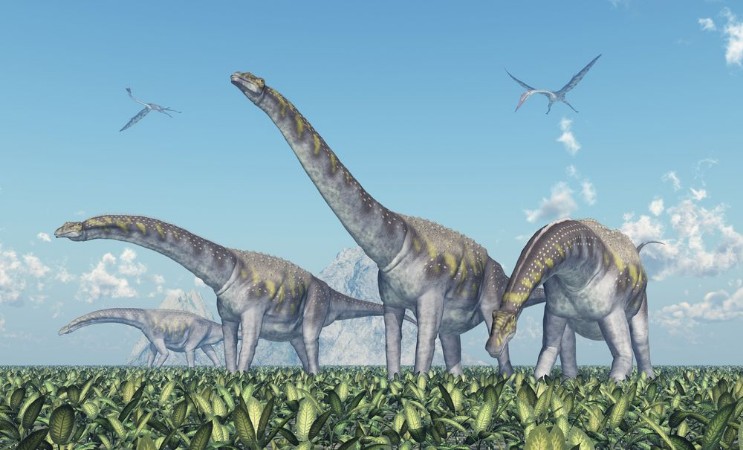 Afbeeldingen van Dinosaurier Argentinosaurus