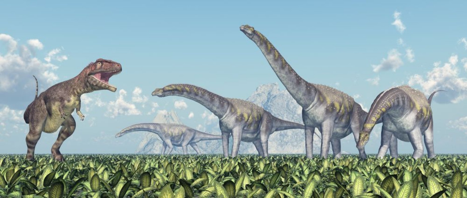 Afbeeldingen van Mapusaurus und Argentinosaurus