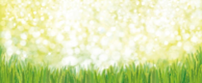 Picture of Vector green grass  nature background