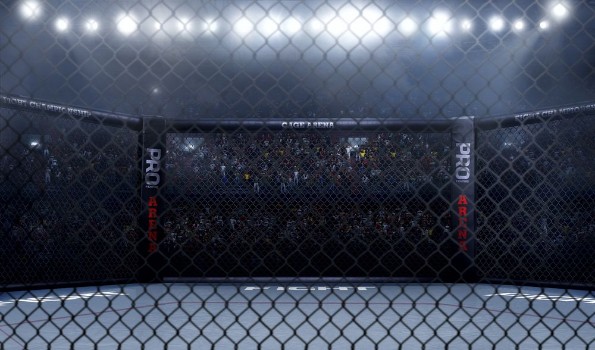 Picture of Empty mma arena side view under lights complete tribune 3D rendering