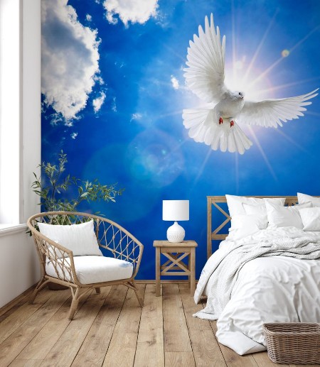 Afbeeldingen van Weisse Taube am Himmel mit Sonne und Wolken