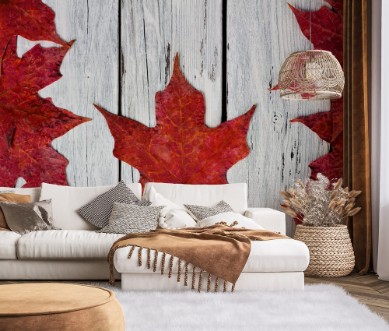 Picture of Canadian flag made of red maple leaves over a weathered white wood background