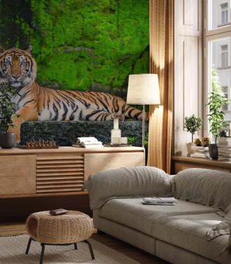 Picture of Bengal tiger