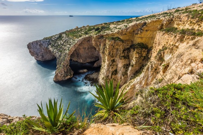Image de Malta - The beautiful cliff of the Blue Grotto with plants in front