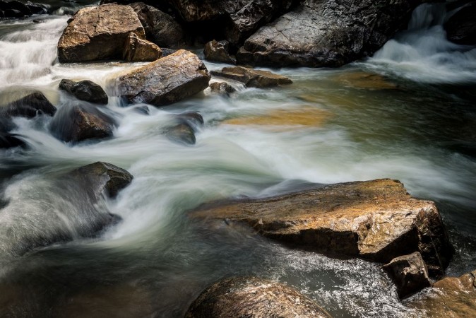 Picture of River stream in Endau Rompin National Park Malaysia