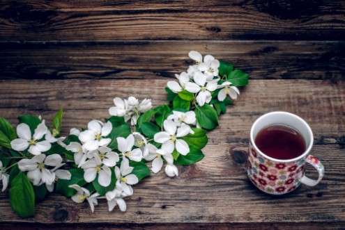 Image de A branch of apple blossoms and a mug of tea on wooden background