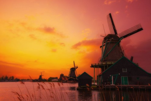Afbeeldingen van Traditional Dutch windmills on the canal bank at warm sunset light in Netherlands near Amsterdam