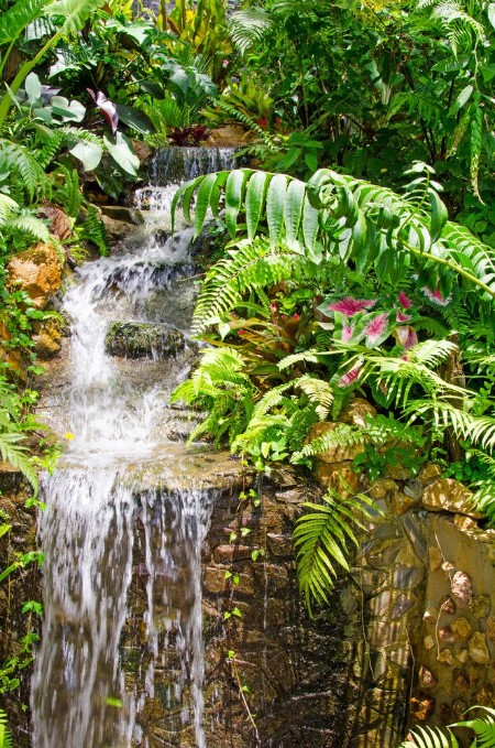 Image de Waterfall in the Caribbean Samana 