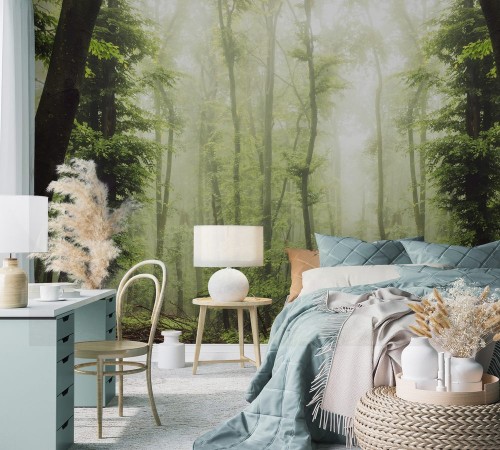 Image de Misty green summer forest