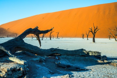 Afbeeldingen van Ecotourism in Namib-Naukluft Park