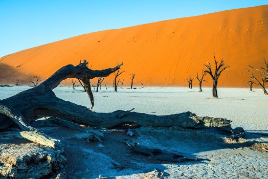 Bild på Ecotourism in Namib-Naukluft Park