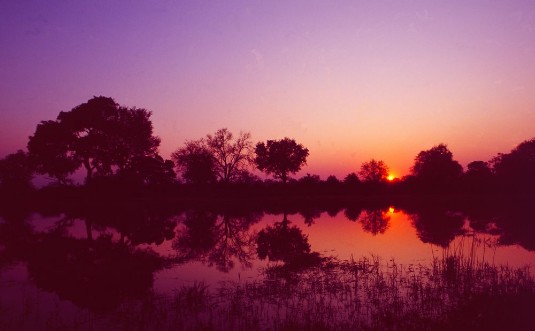 Afbeeldingen van Botswana Sonnenuntergang im Okavango Delta