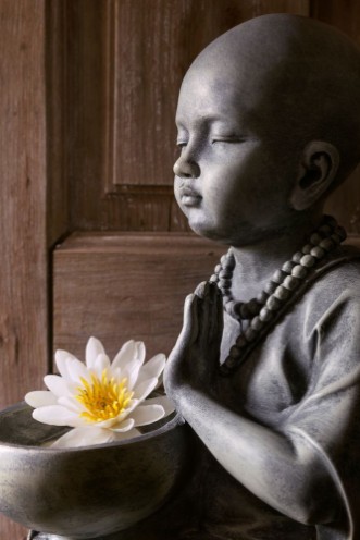 Bild på Jeune Bouddha