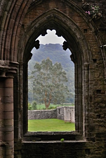 Picture of Tintern Abbey