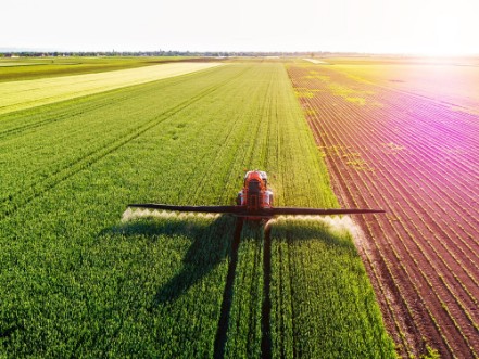 Afbeeldingen van Farmer spraying green wheat field