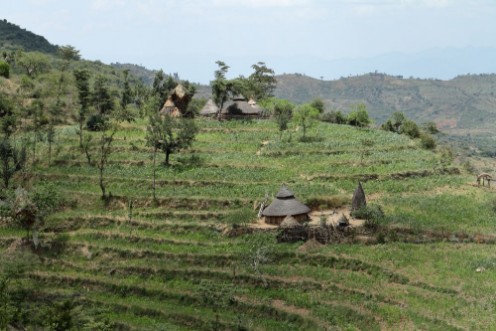Bild på Traditionelle Strohhtten im Omo Valley von thiopien 