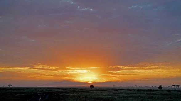 Afbeeldingen van Sun rising through rain clouds in Serengeti Tanzania