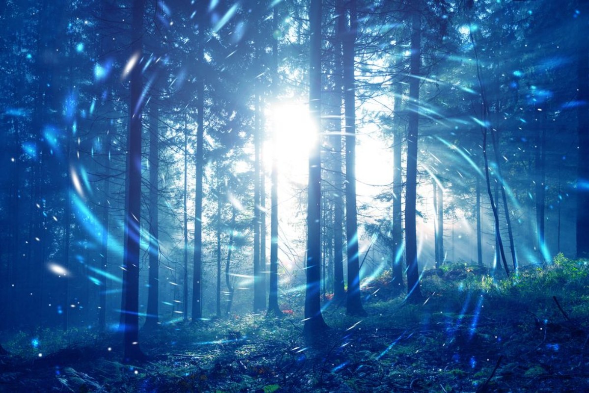 Afbeeldingen van Blue foggy forest fairytale with spiral circle fireflies bokeh background Color filter effect used