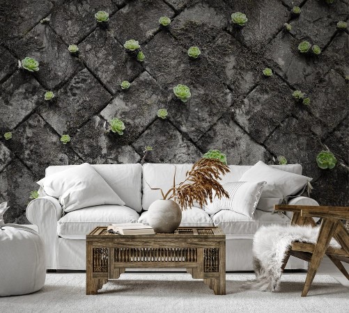 Picture of Bright green succulents on black and white grey wall made by stone block growing from cracks and spaces on the wall Green wall for green life 