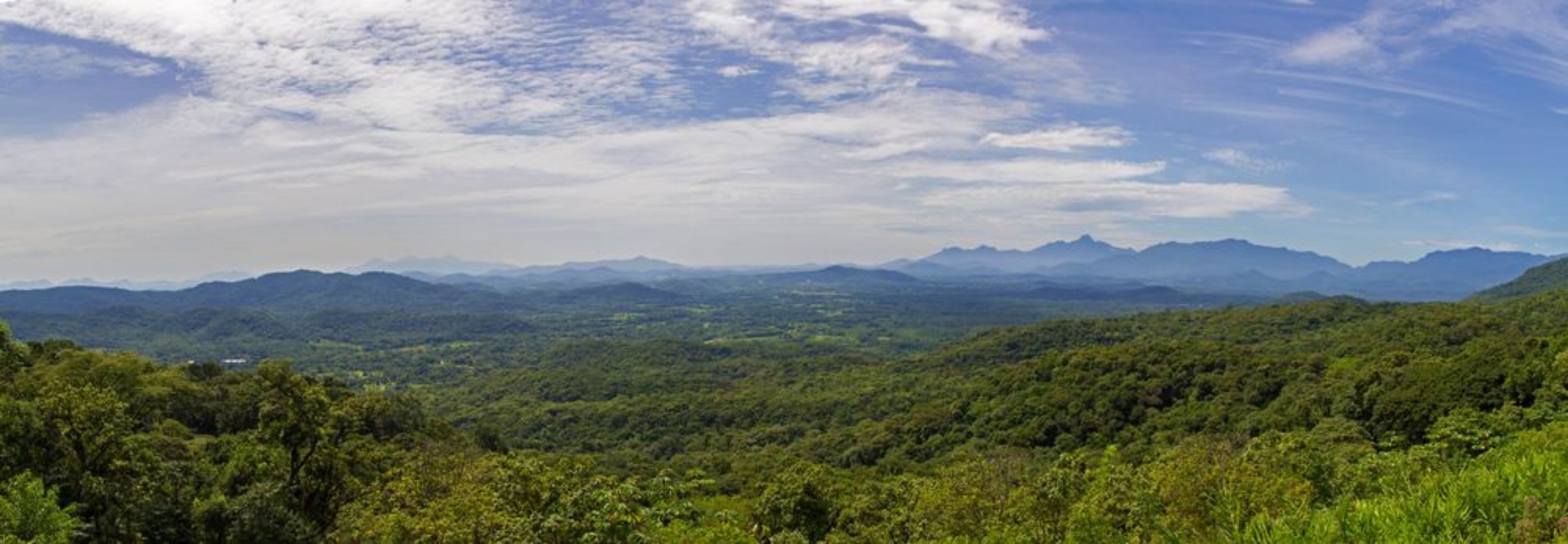 Bild på Brazilian landscape