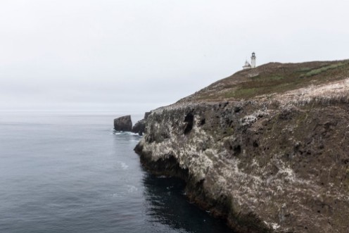 Bild på Anacapa Island Hilltop Lighthouse at Channel Islands National Park in California