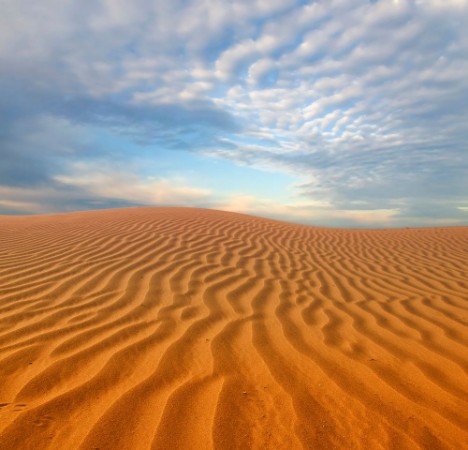 Bild på Sand dunes