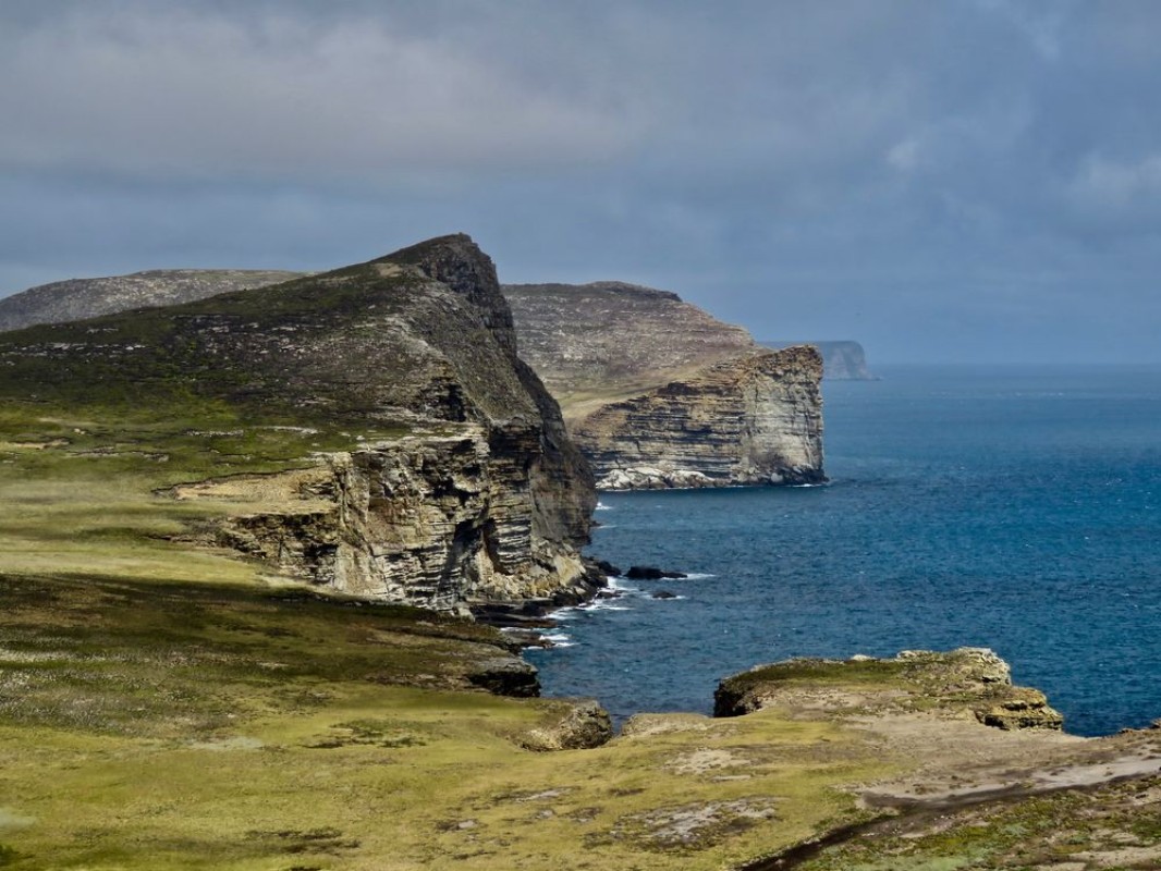 Image de Falklandinseln New Island