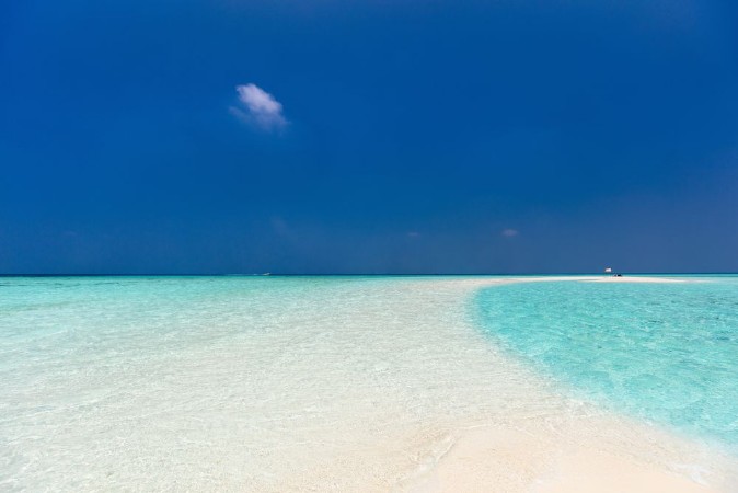 Bild på Beautiful tropical beach at Maldives