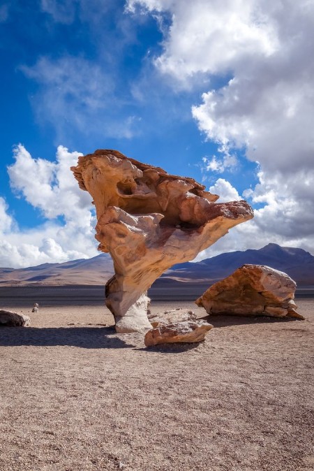 Bild på Arbol de Piedra in Siloli desert sud Lipez reserva Bolivia