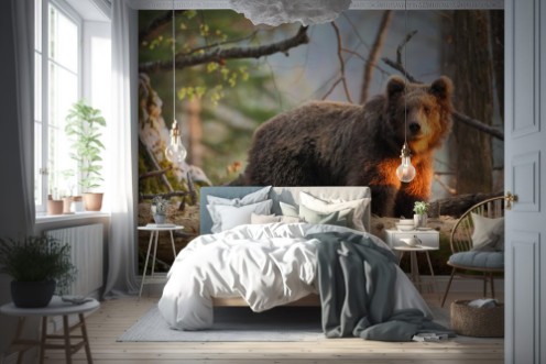 Afbeeldingen van Slovenian bear