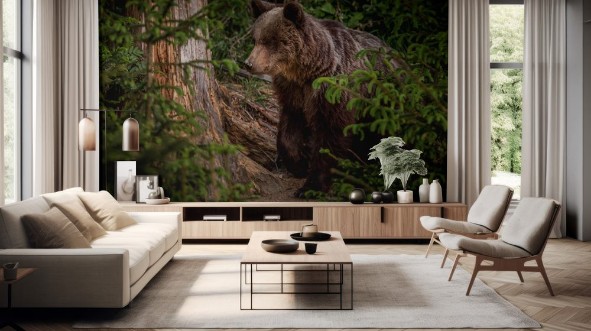 Image de Brown bear Ursus arctos 