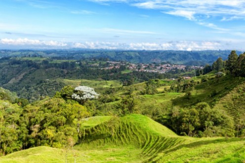 Bild på View of Salento Colombia